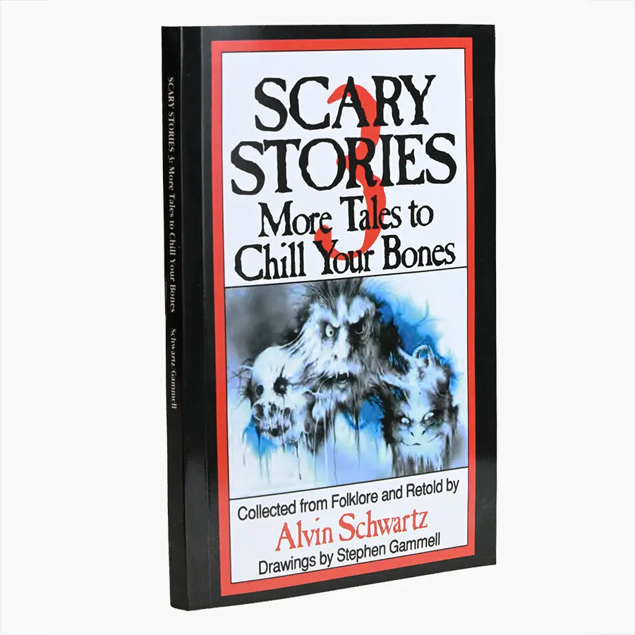 Illustrated chapter book standing upright with bold cover typography