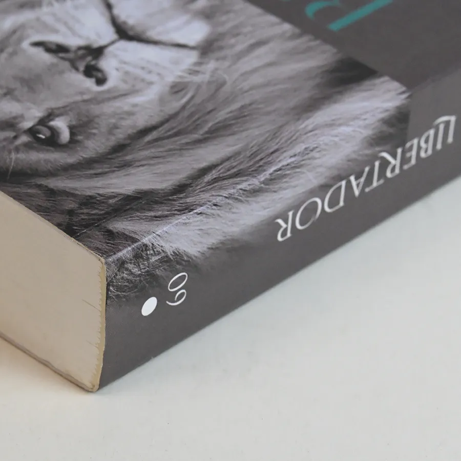 Close corner detail of a printed cover with monochrome photographic artwork